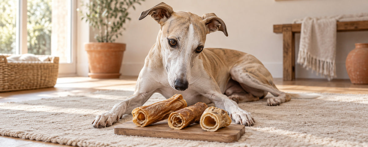Kophuid of rawhide: wat is het verschil voor je hond?