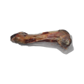 Canis Serrano Smulkluif