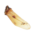 Canis Runderoren met Vlees