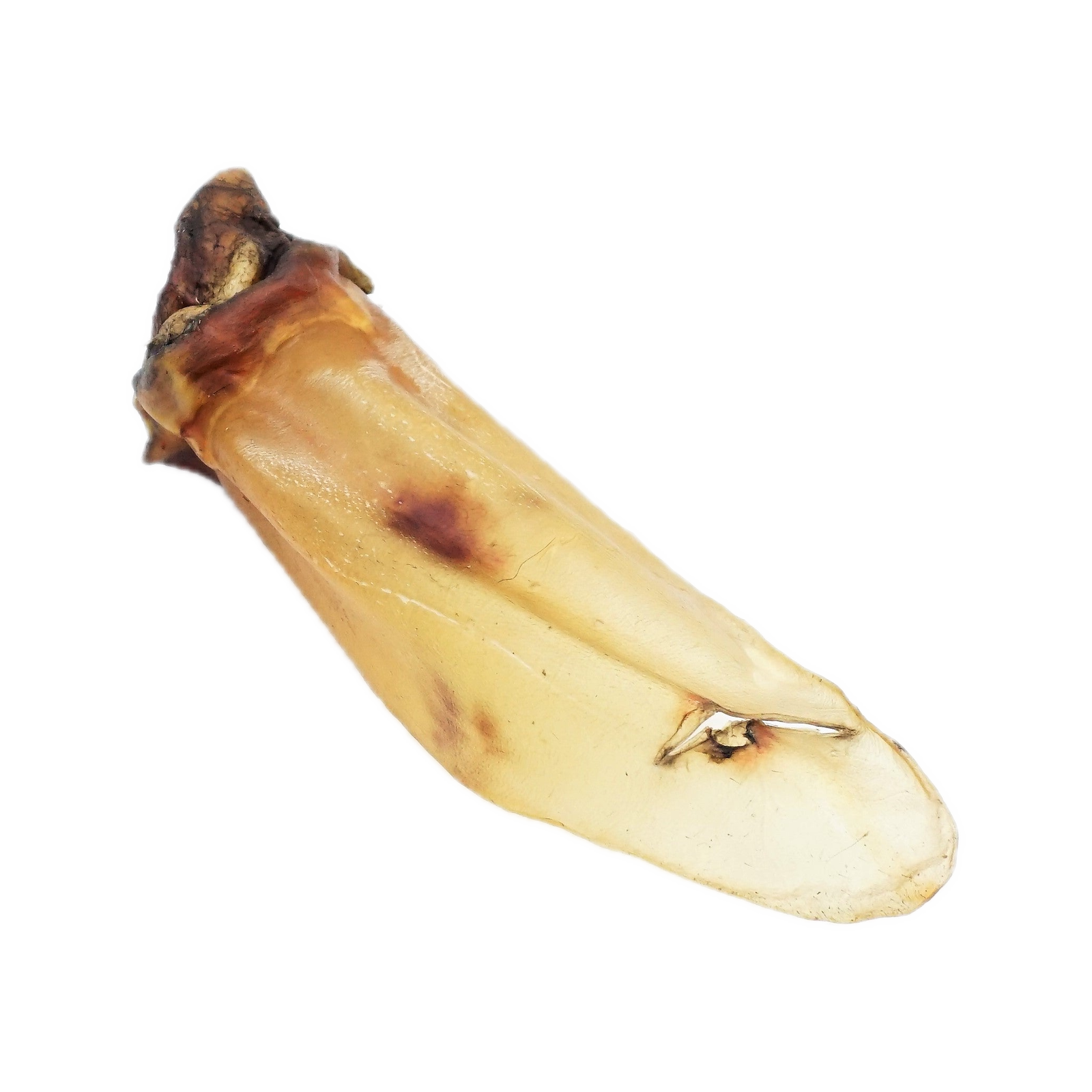 Canis Runderoren met Vlees