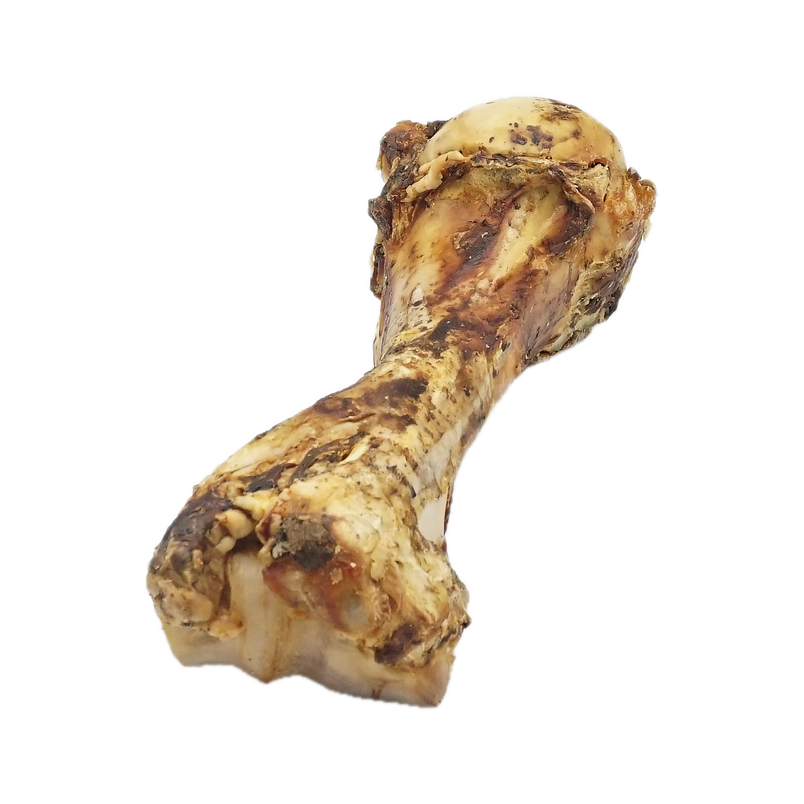 Canis Dino XL verpakt