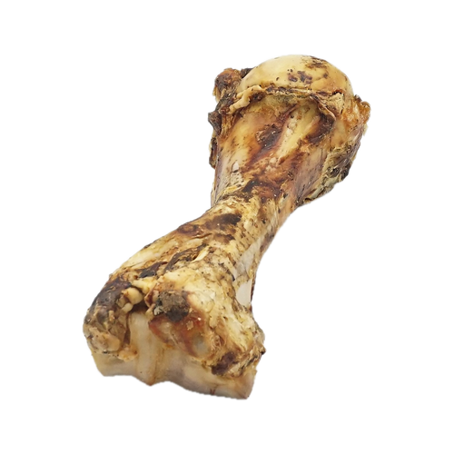 Canis Dino XL verpakt