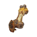Canis Dino XXL verpakt