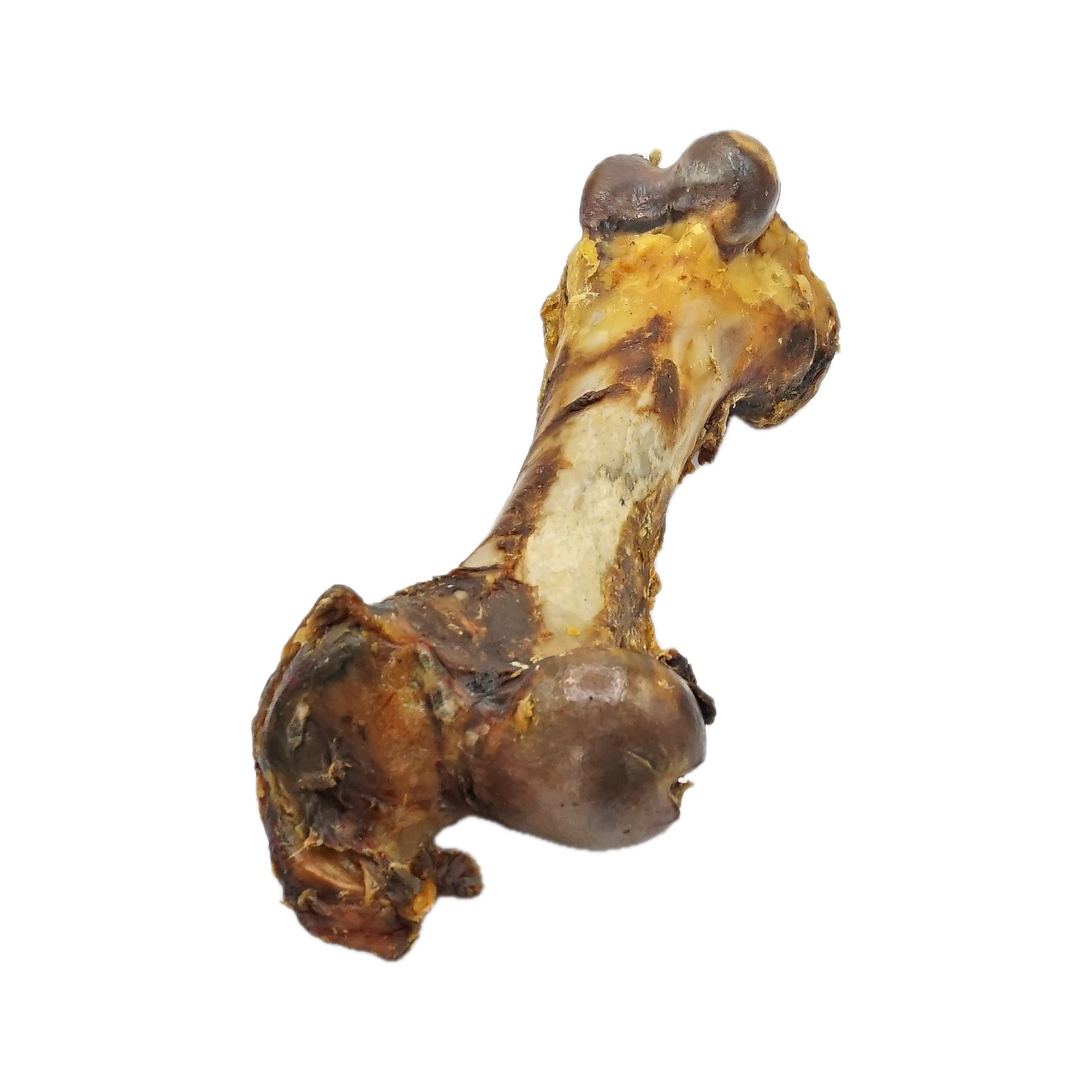 Canis Dino XXL verpakt