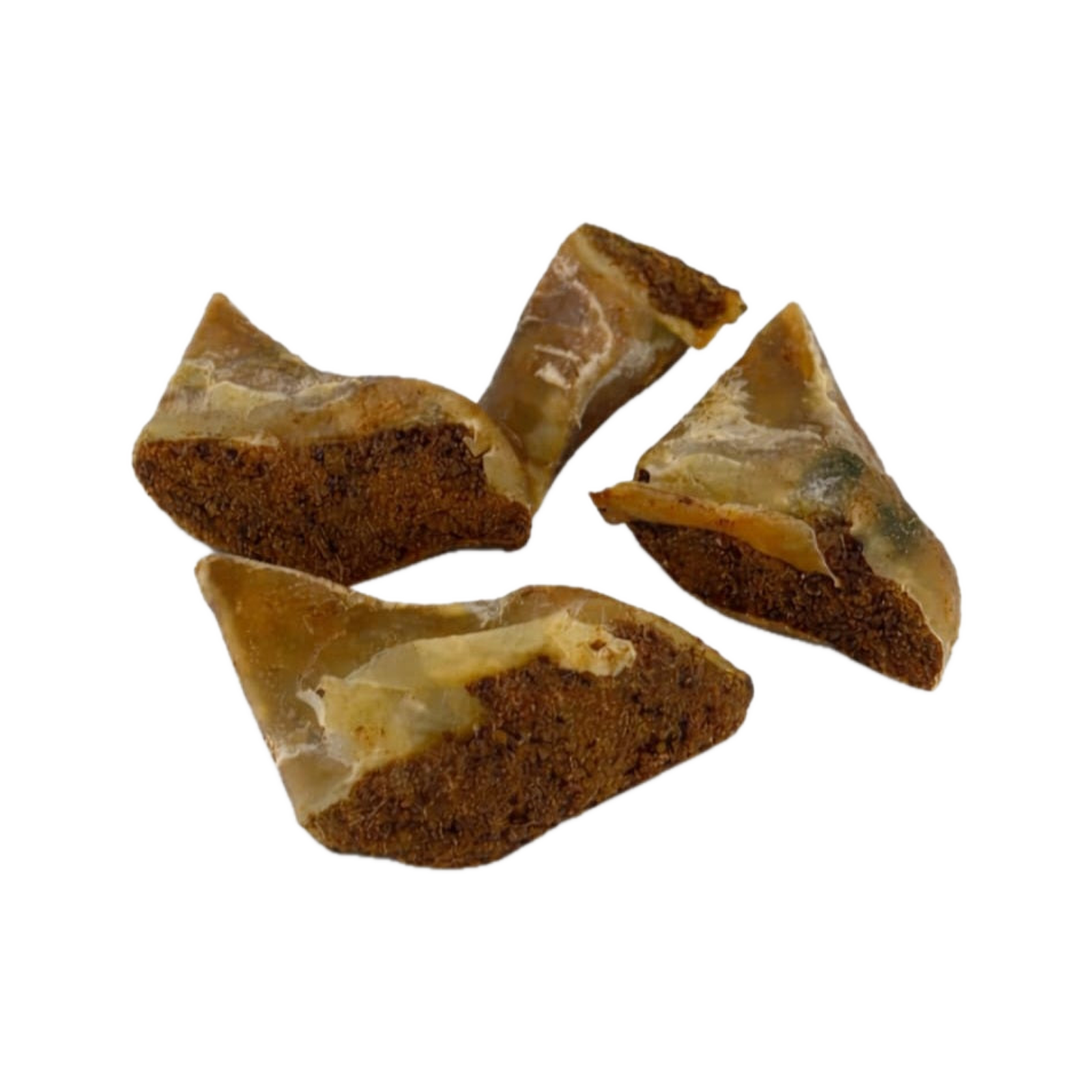 Canis Kalfshoef met Paté