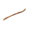 Canis Bullepees  80CM