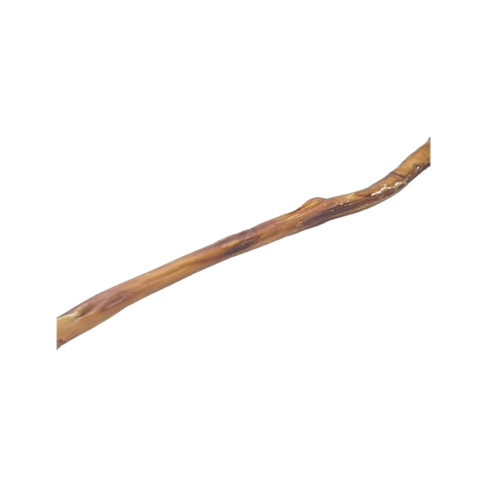 Canis Bullepees  80CM