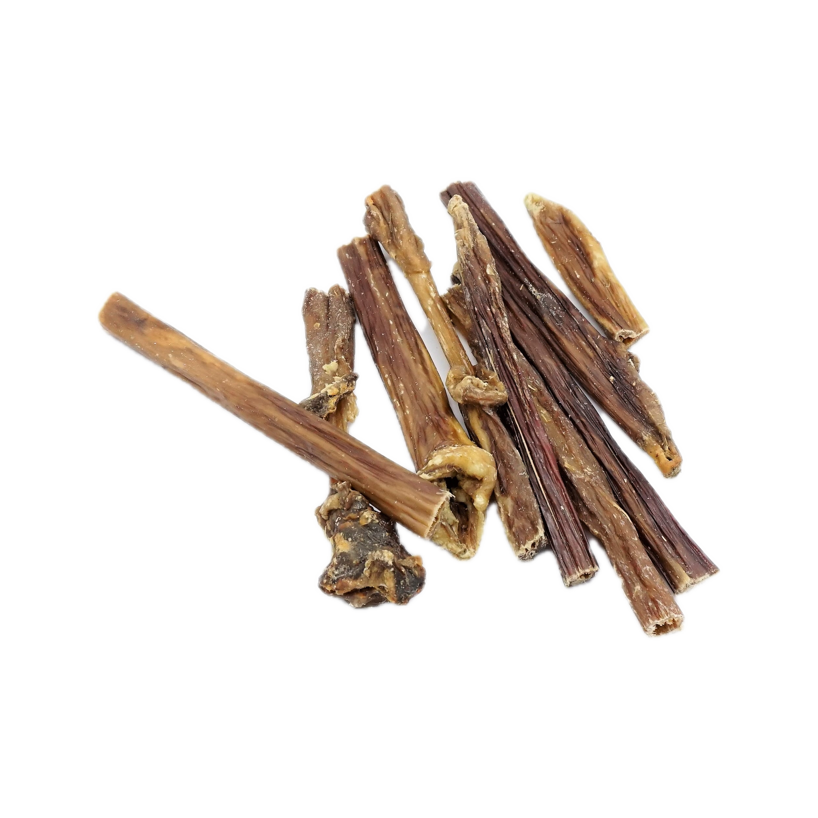 Canis Runder Spaghetti
