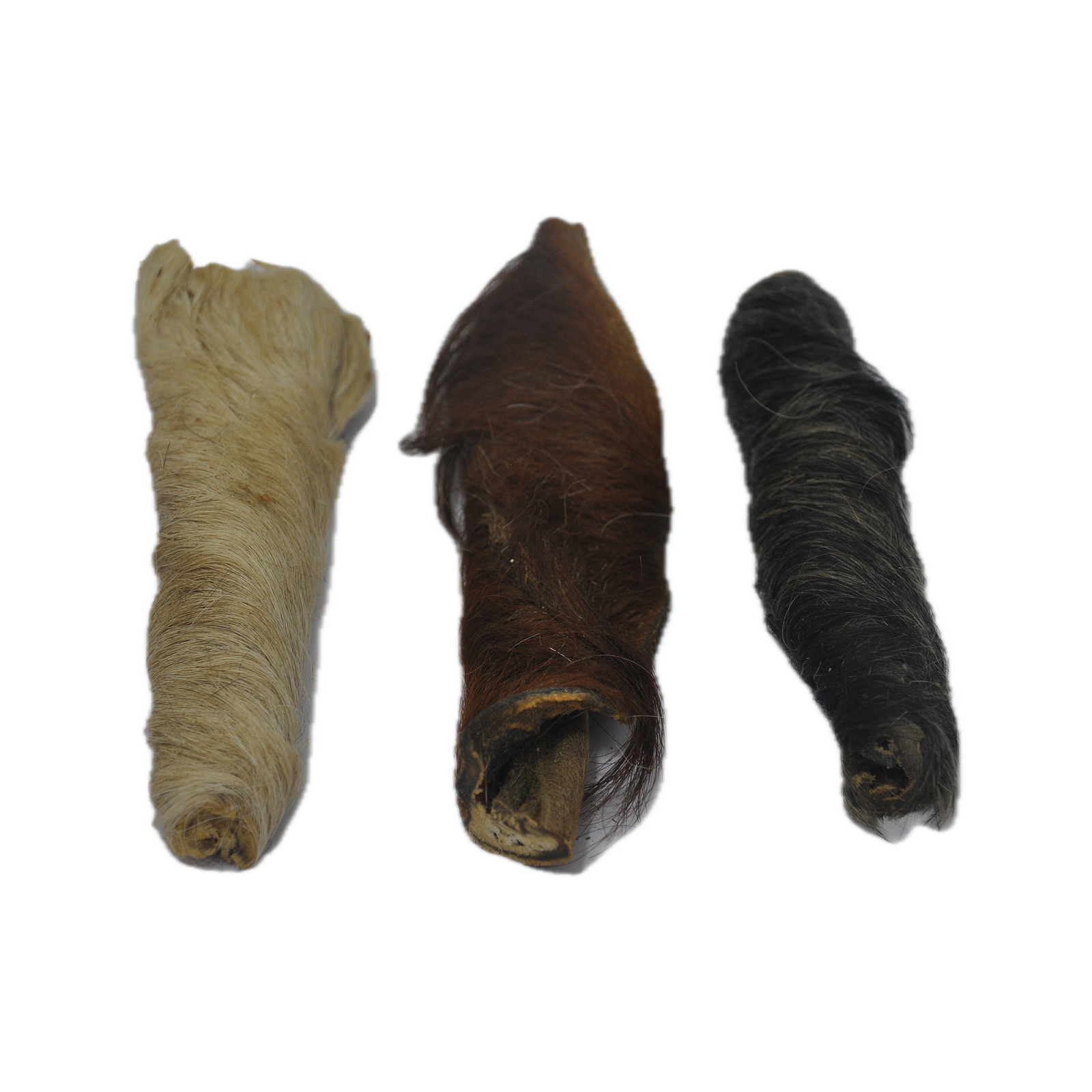 Canis Runderkophuid met Haar