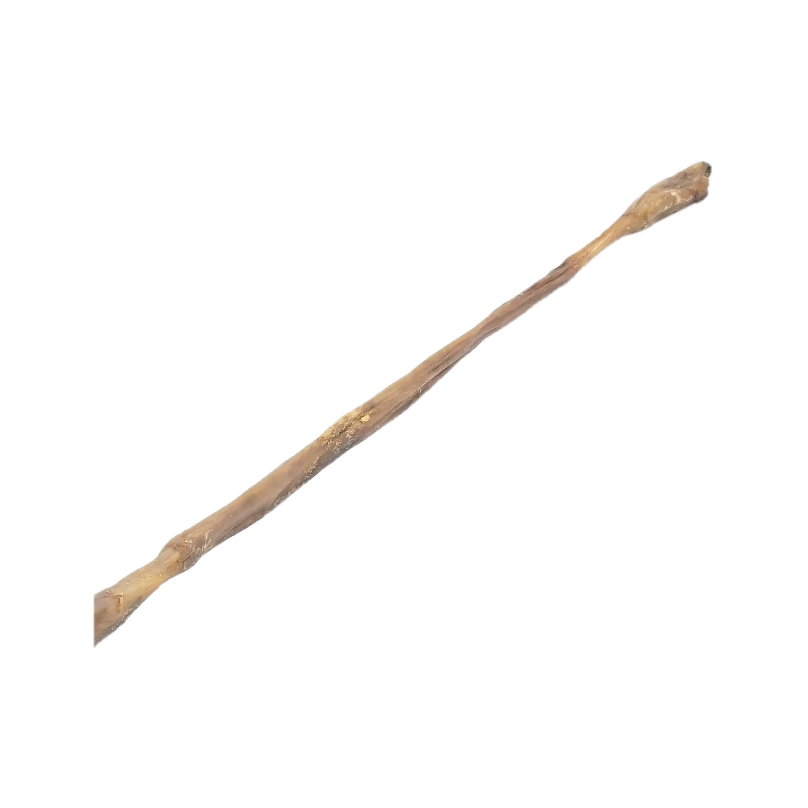 Canis Kalfspees 15CM