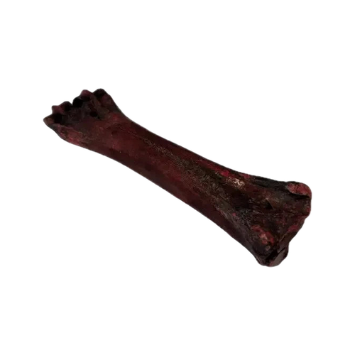 Canis Buffelpoot Bruin 10 x 1 stuk