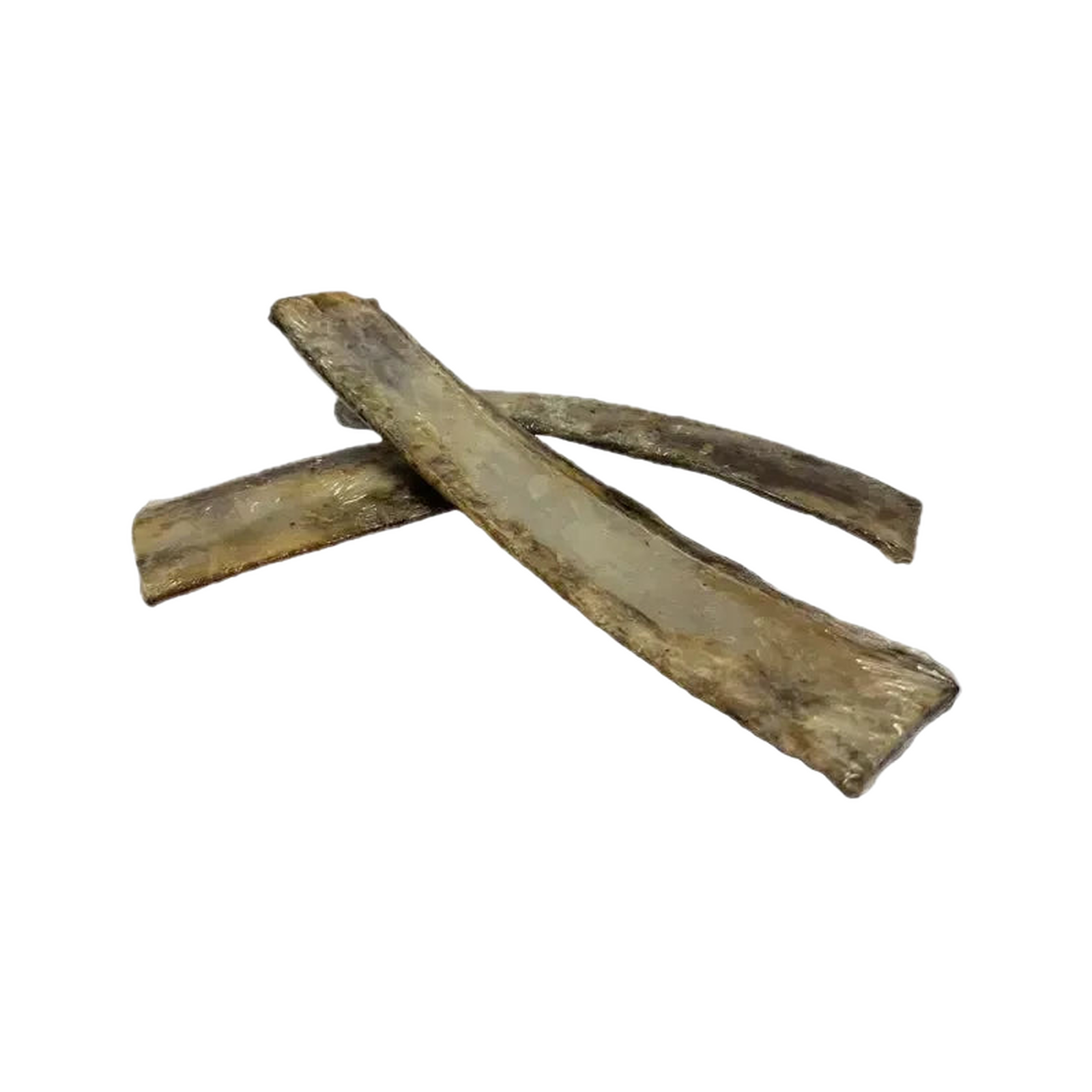 Canis Runder Rib