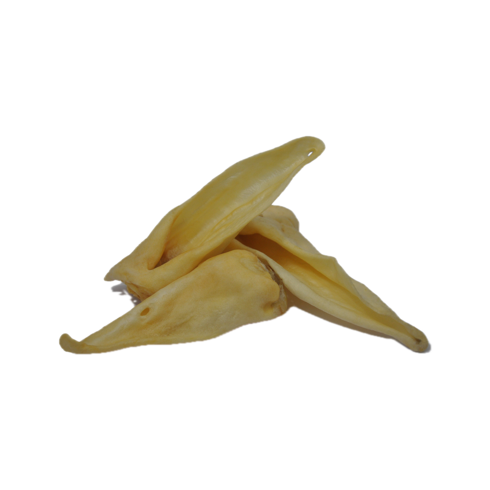 Canis Geitenoren