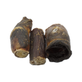 Canis Paardenpenis