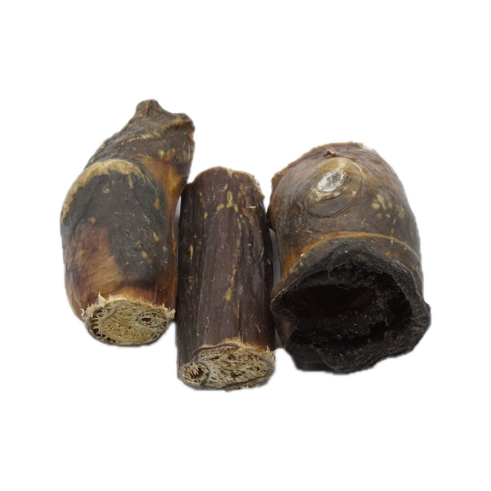 Canis Paardenpenis