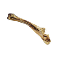 Canis Hertendino