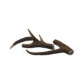 Canis Hertengewei L ( 151-225 gram )