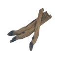 Canis Reepoten met Haar