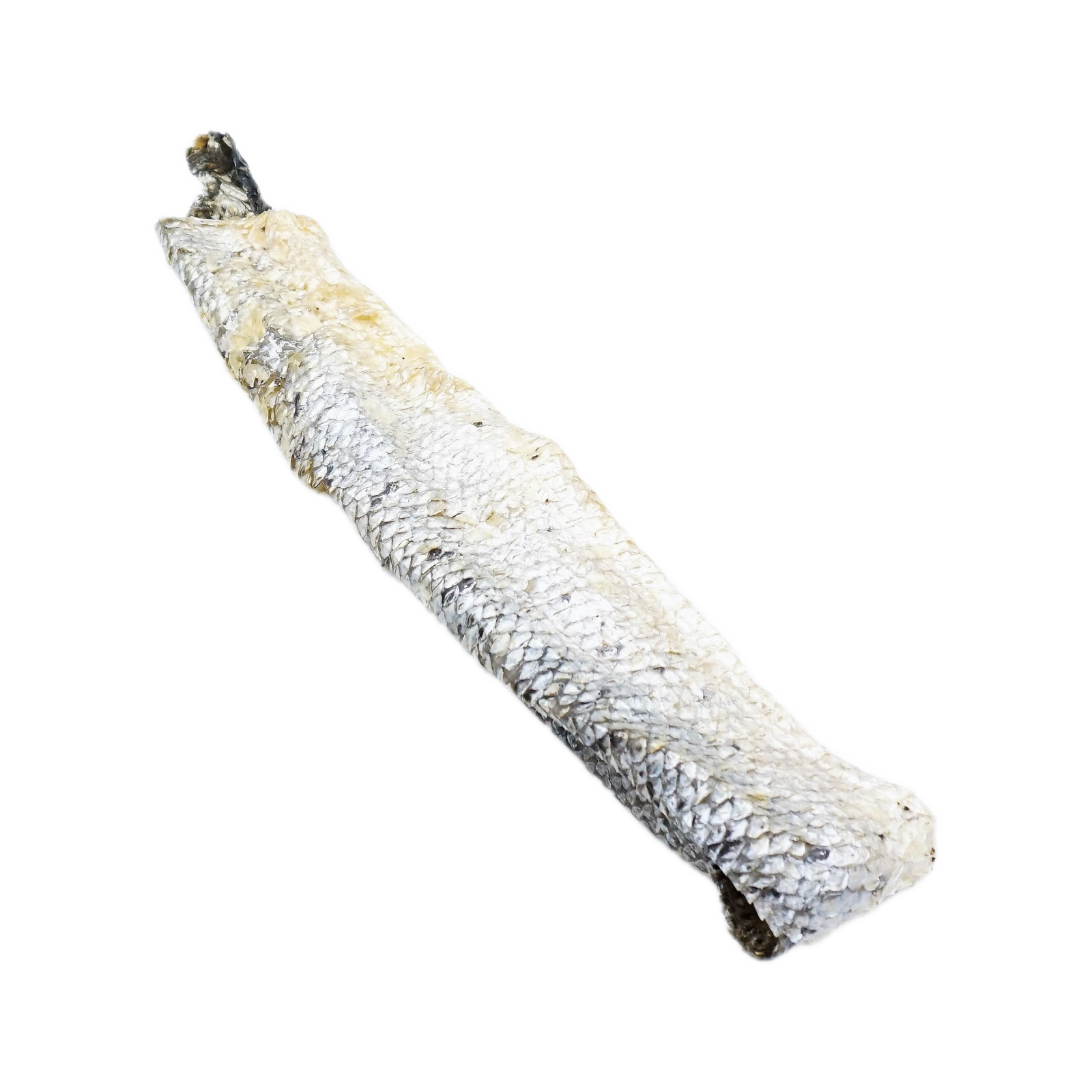 Canis Zalmhuid