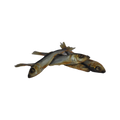 Canis Sprot