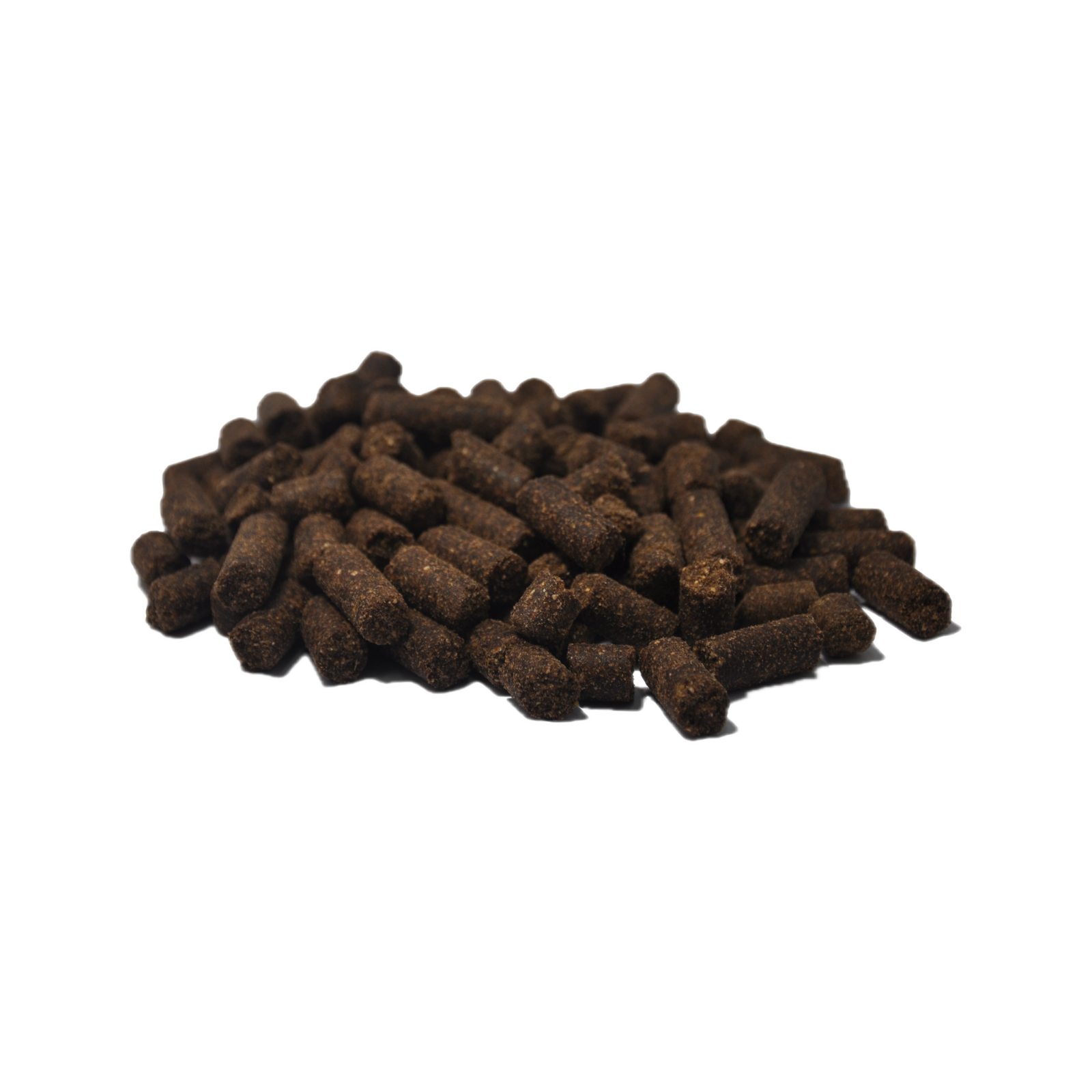 Canis Persbrok Puppy