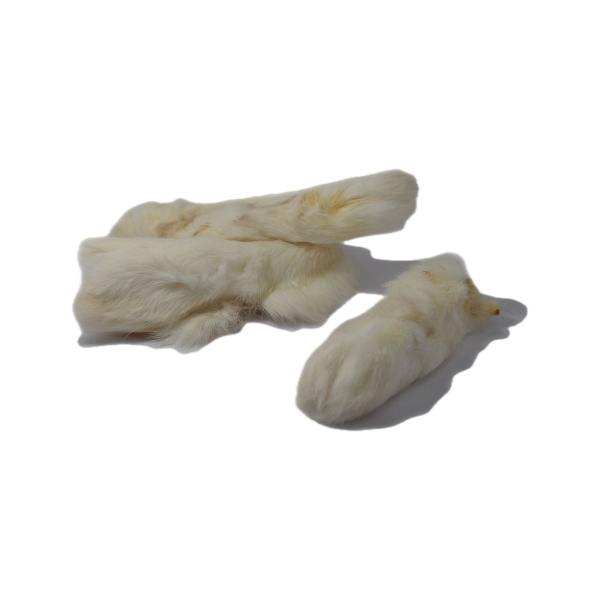 Canis Konijnenhuid met haar – 20-23 cm (1000 gram)