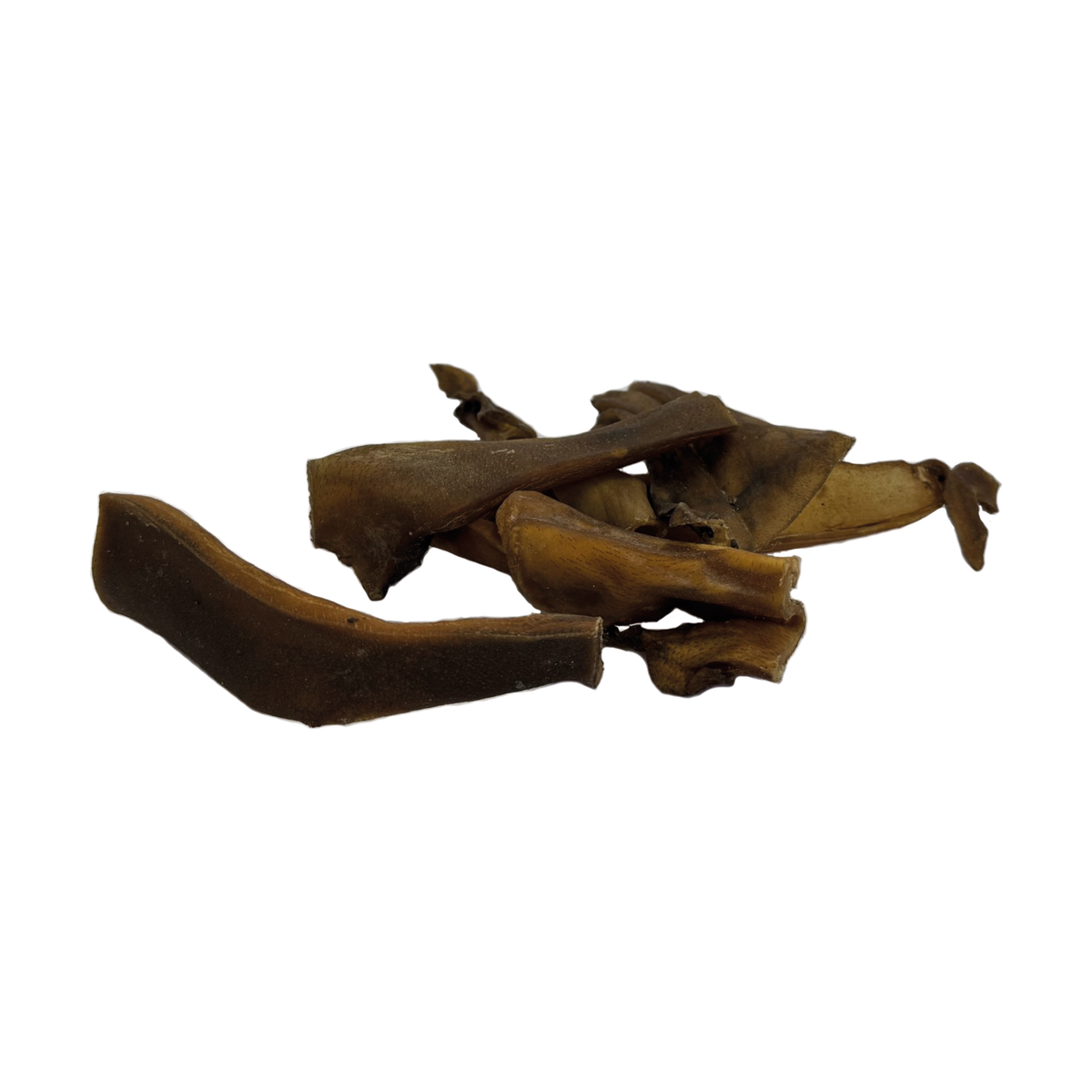 Canis Paarden kophuid