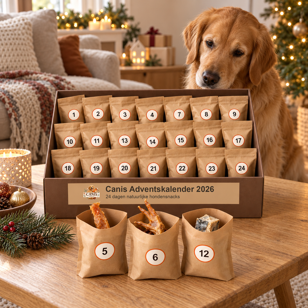 Canis Adventskalender 2026 op tafel met golden retriever, kerstsfeer